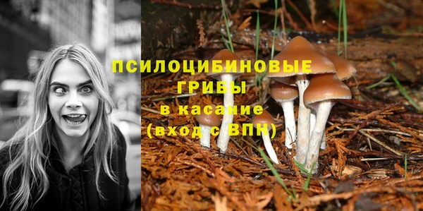 кокаин премиум Алексеевка