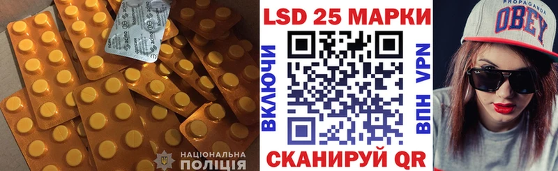 omg ТОР  Новоалександровск  сайты даркнета наркотические препараты  LSD-25 экстази кислота 