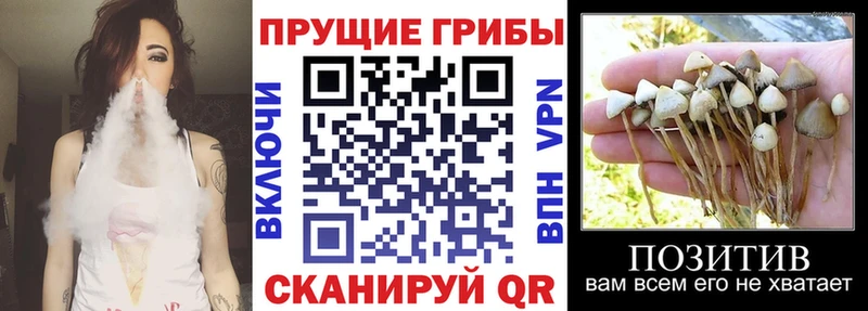 Галлюциногенные грибы MAGIC MUSHROOMS  Новоалександровск 