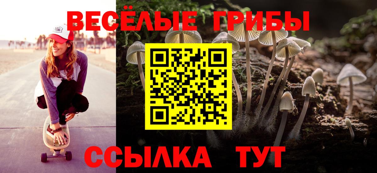 Галлюциногенные грибы Magic Shrooms Новоалександровск
