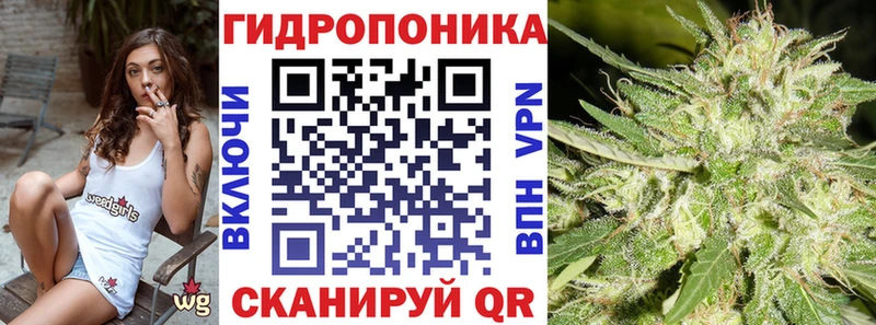 закладка  Новоалександровск  Шишки марихуана VHQ 